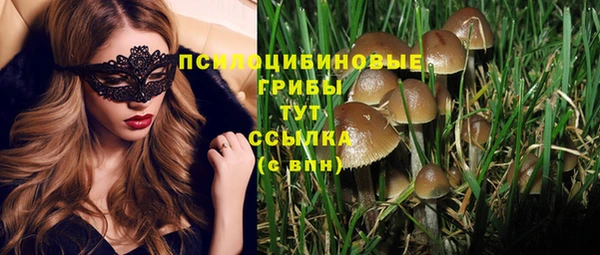 гидропоника Аркадак