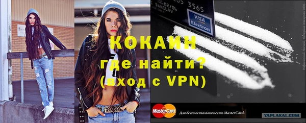 дживик Арсеньев
